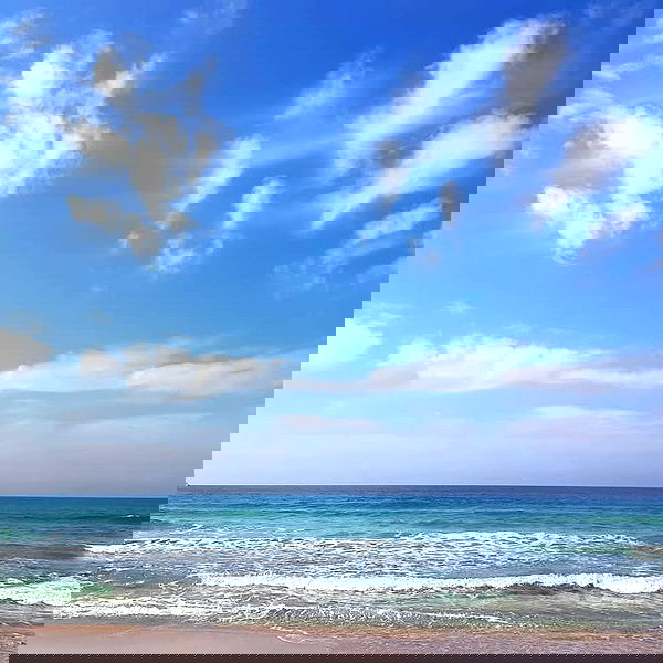 yam_adler image ~ Altpins