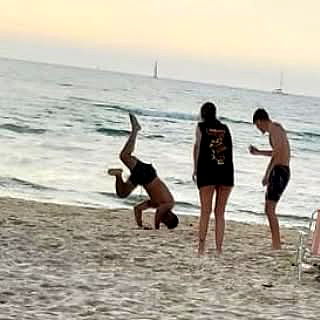 yam_adler image ~ Altpins