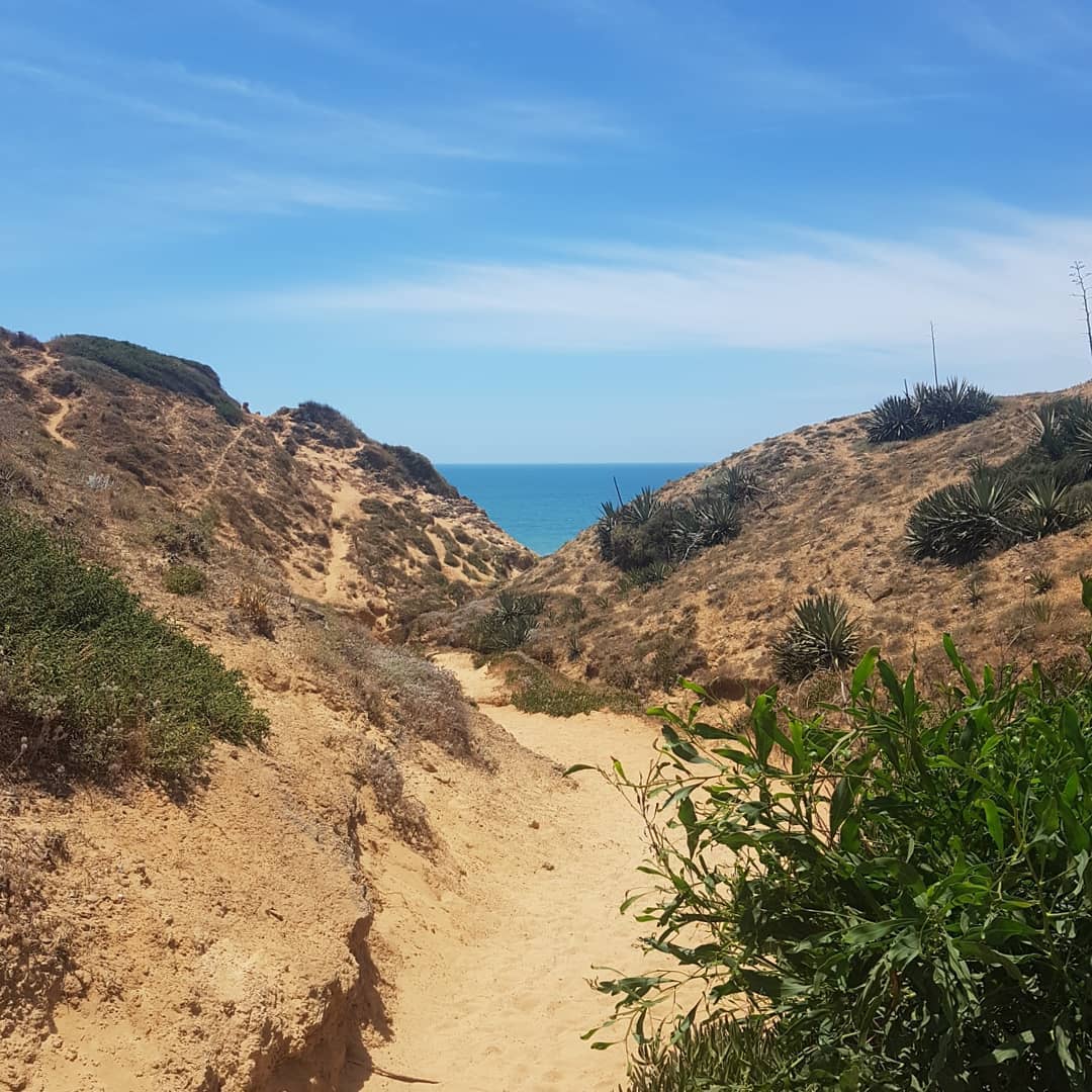 yam_adler instagram image archive image