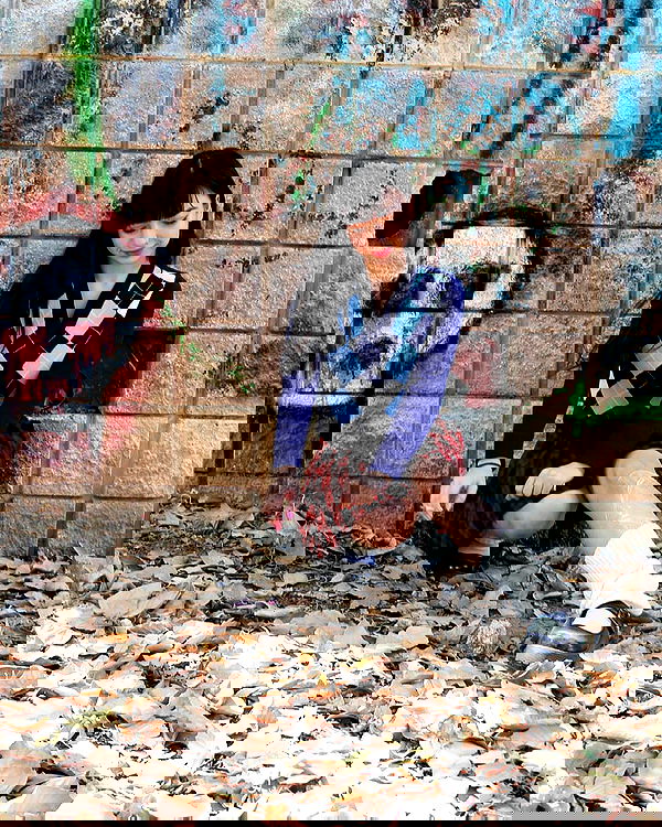 yam_adler image ~ Altpins