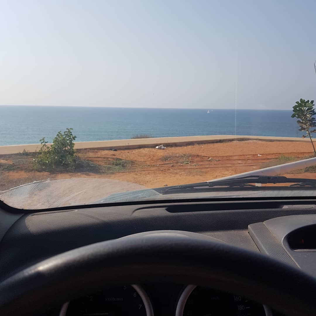 yam_adler instagram image archive image