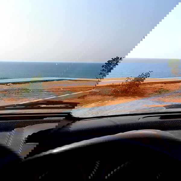 yam_adler image ~ Altpins