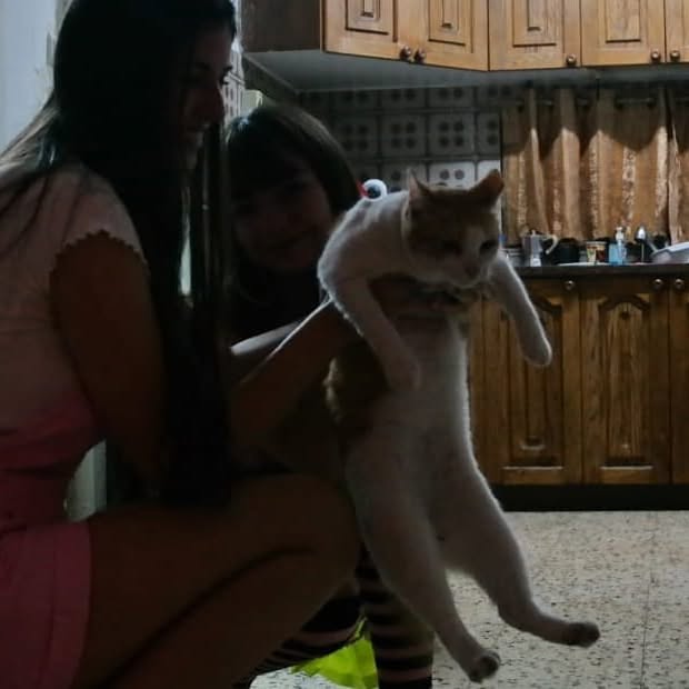 yam_adler instagram image archive image