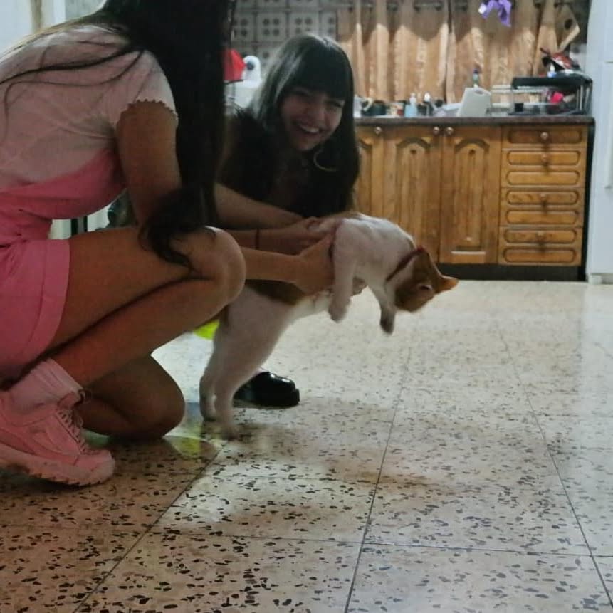 yam_adler instagram image archive image