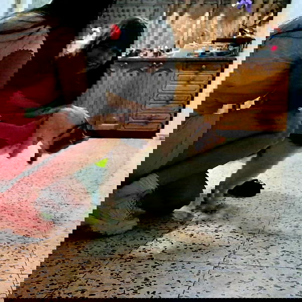 yam_adler image ~ Altpins