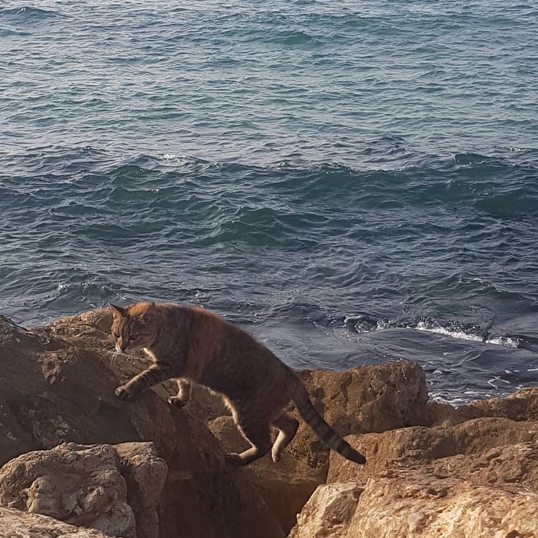 yam_adler instagram image archive image