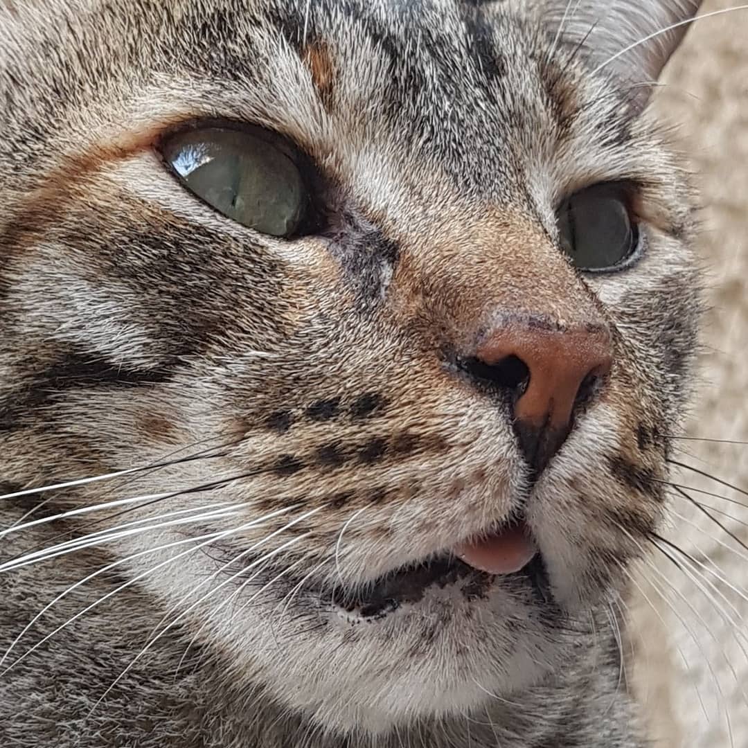 yam_adler instagram image archive image