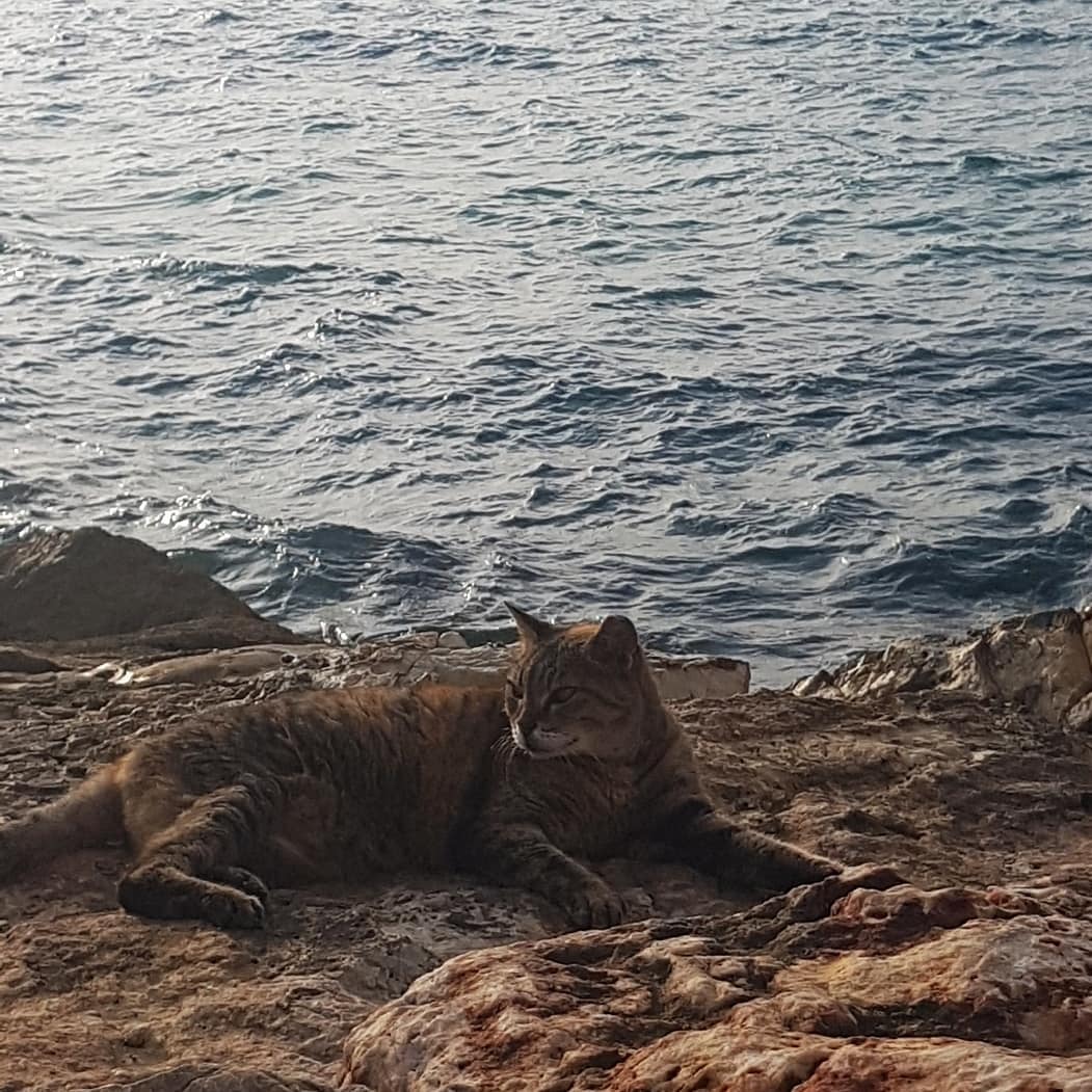 yam_adler instagram image archive image