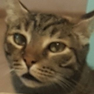 yam_adler instagram image archive image