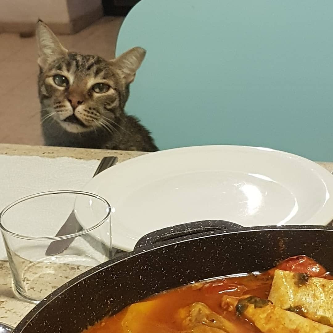 yam_adler instagram image archive image