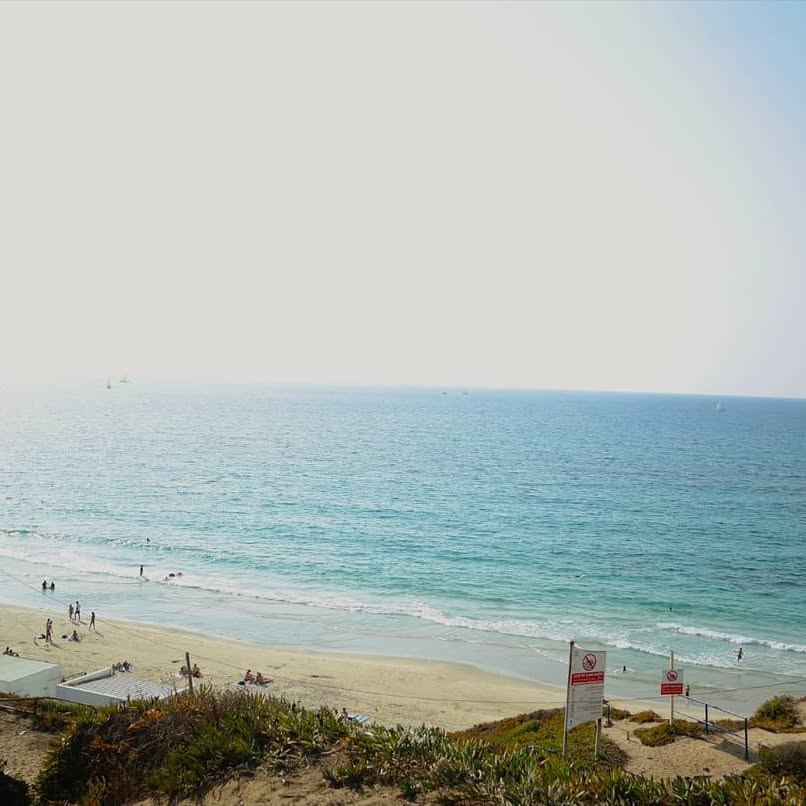 yam_adler instagram image archive image