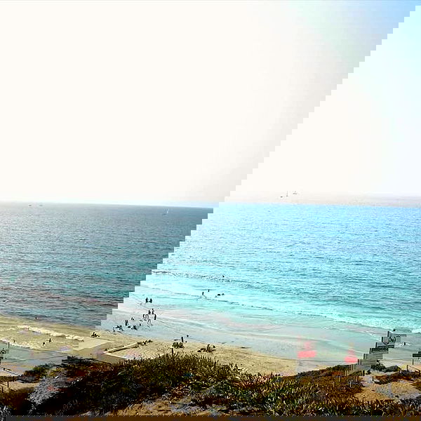 yam_adler image ~ Altpins