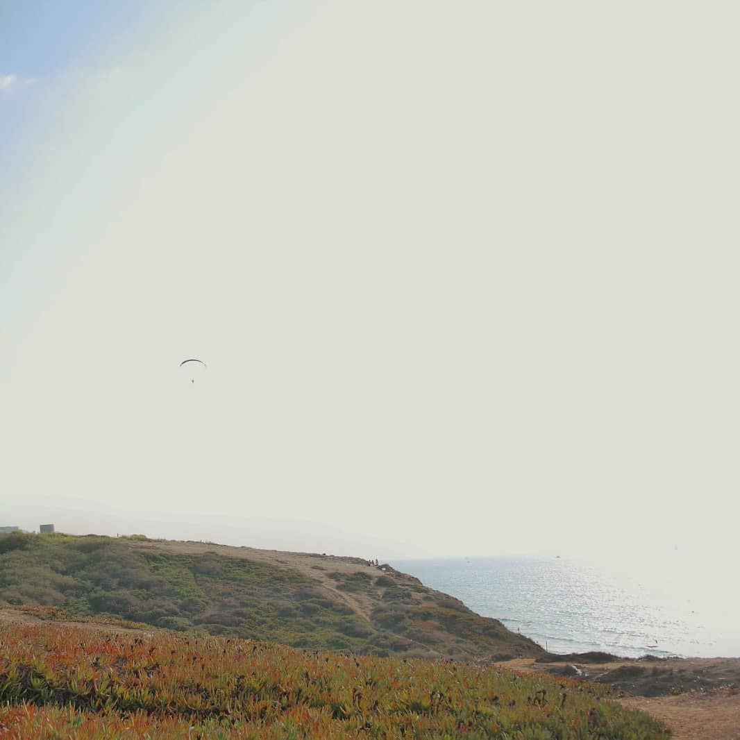 yam_adler instagram image archive image