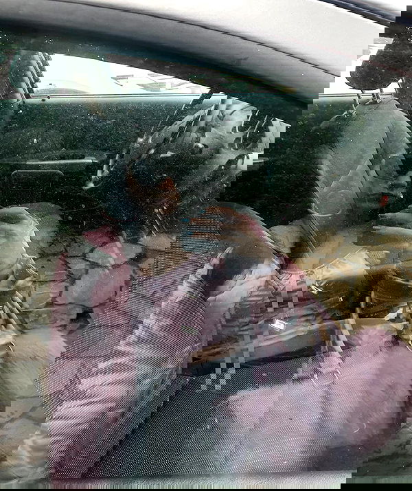 yam_adler image ~ Altpins