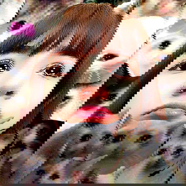 yam_adler image ~ Altpins