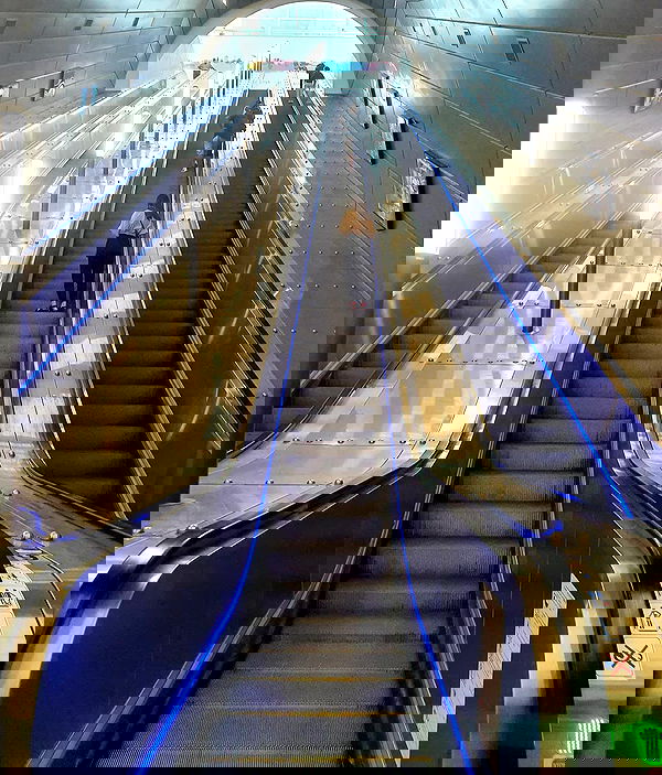 yam_adler image ~ Altpins