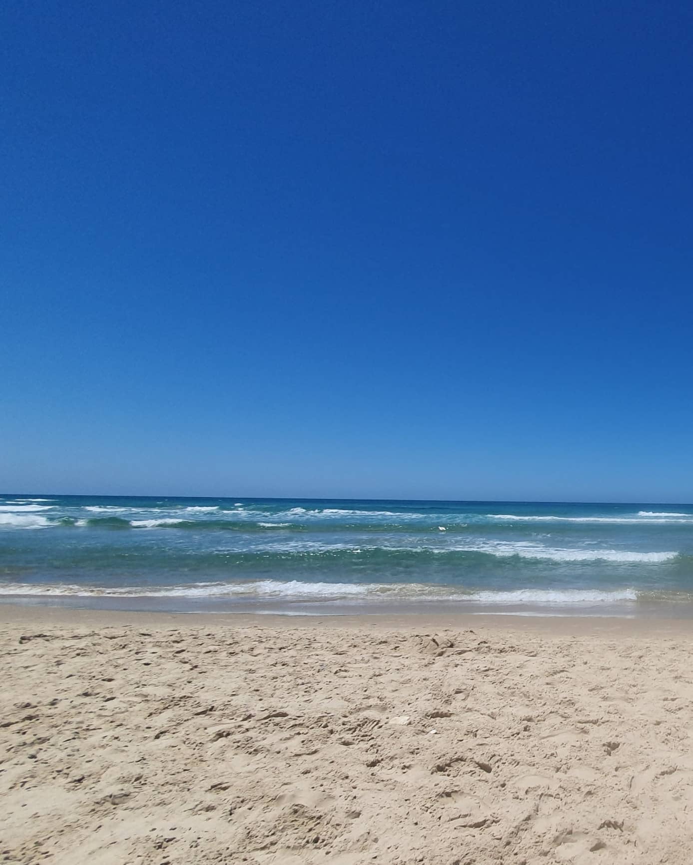 yam_adler instagram image archive image