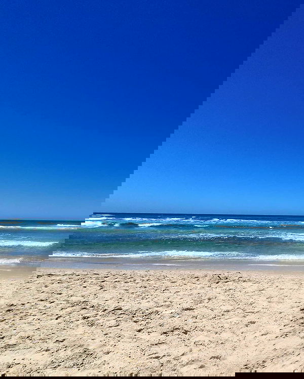 yam_adler image ~ Altpins