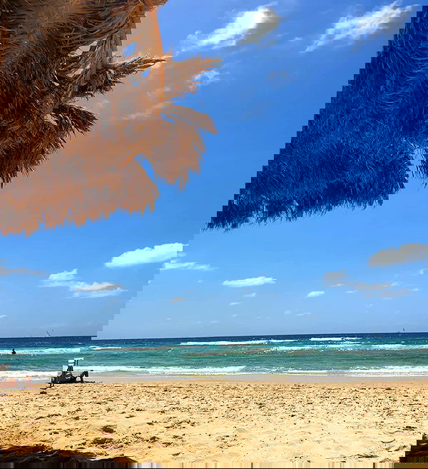 yam_adler image ~ Altpins