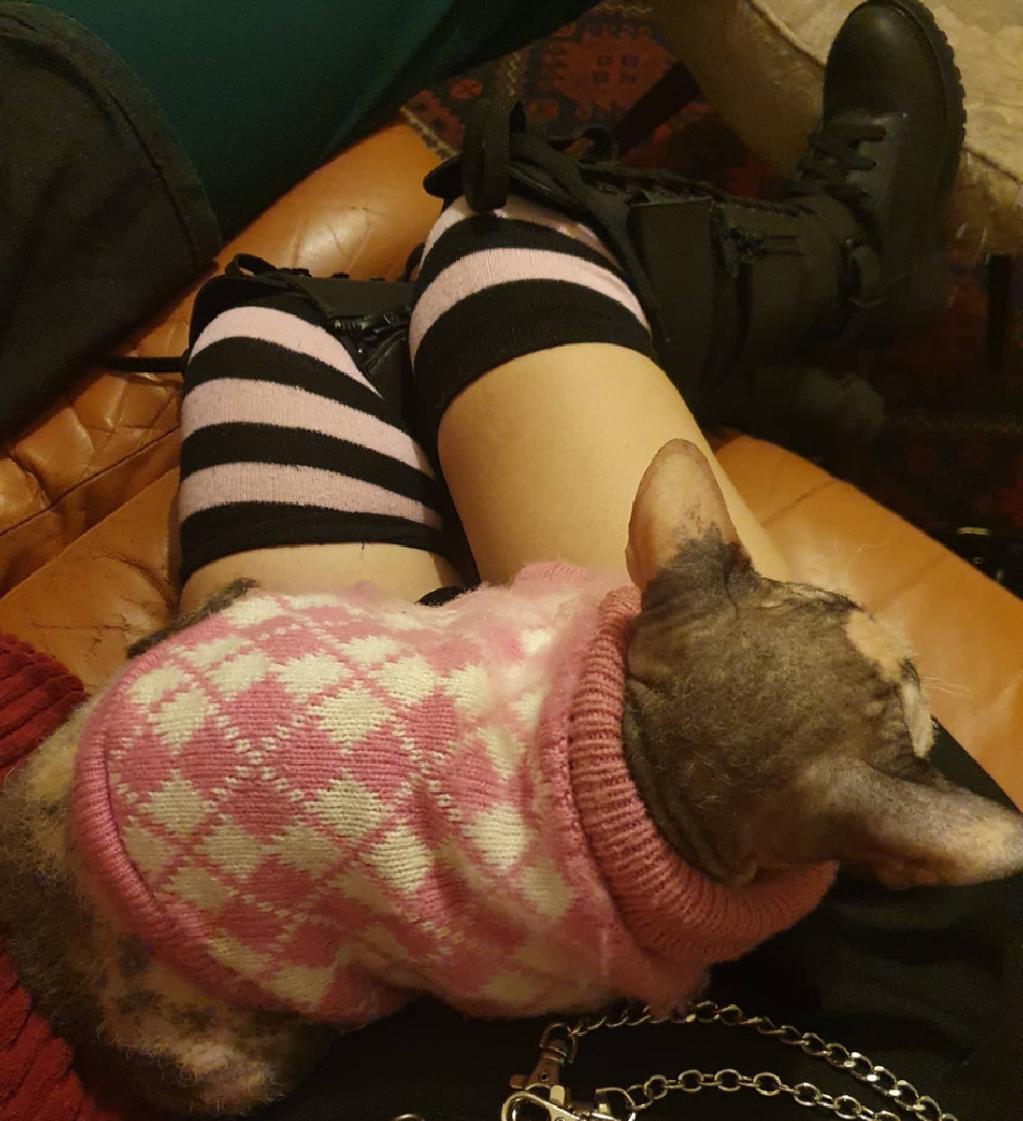 yam_adler instagram image archive image