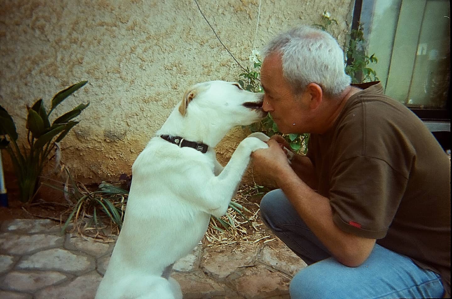 yam_adler instagram image archive image