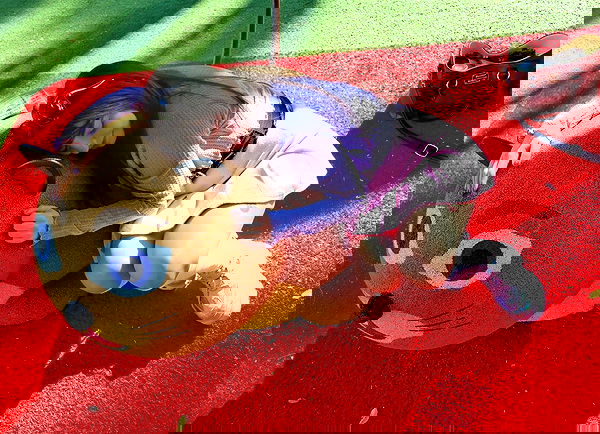 yam_adler image ~ Altpins