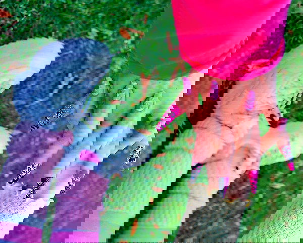 yam_adler image ~ Altpins