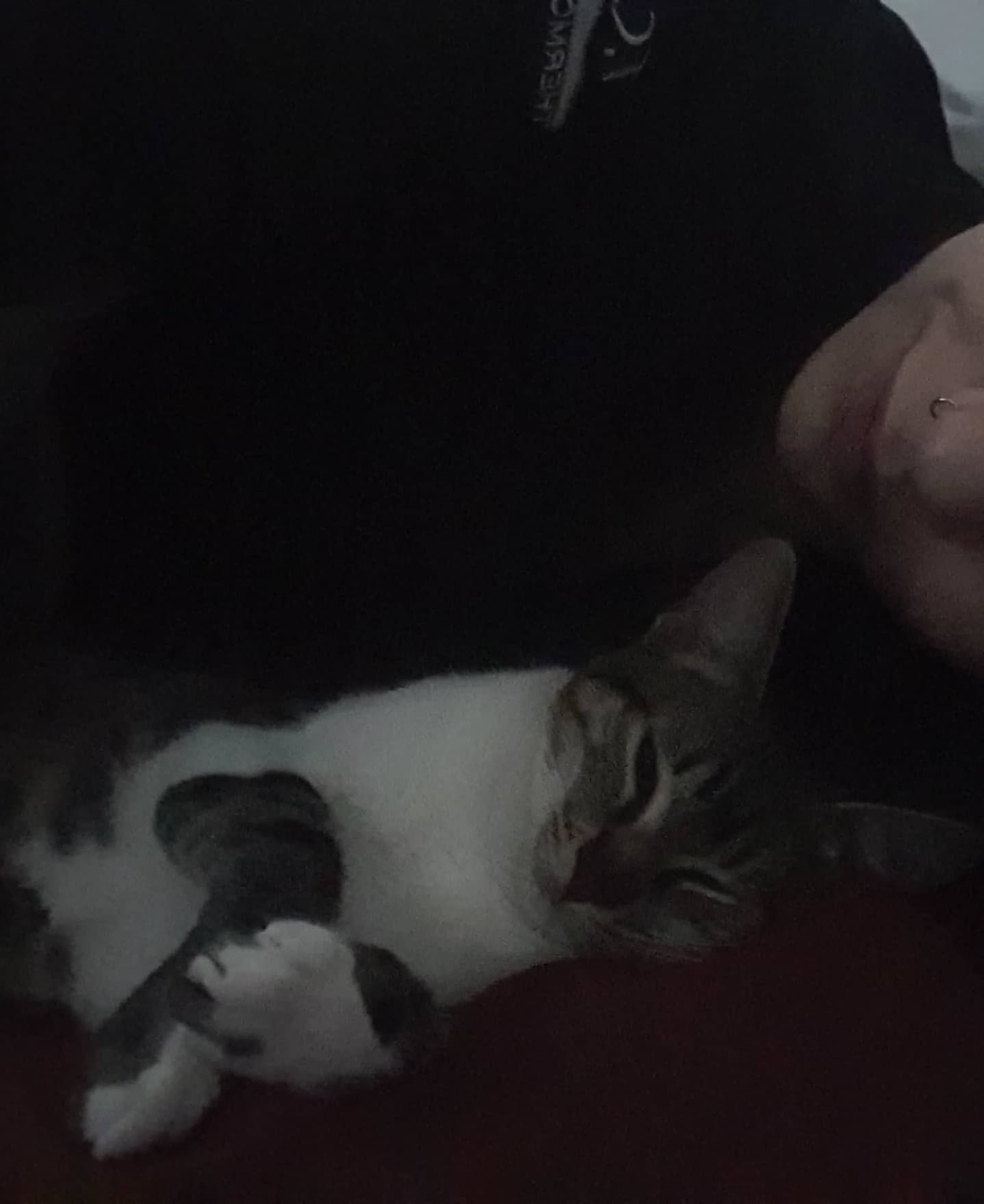 yam_adler instagram image archive image