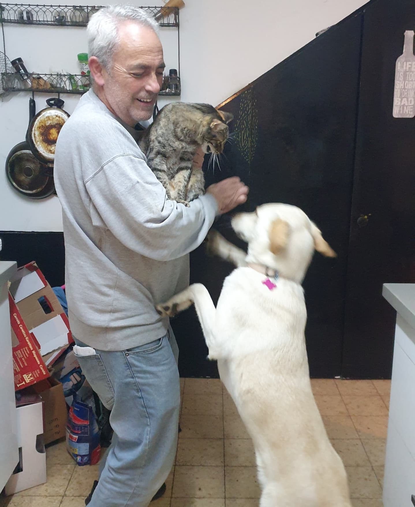 yam_adler instagram image archive image