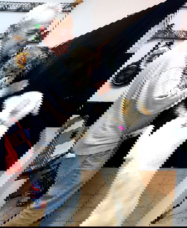 yam_adler image ~ Altpins