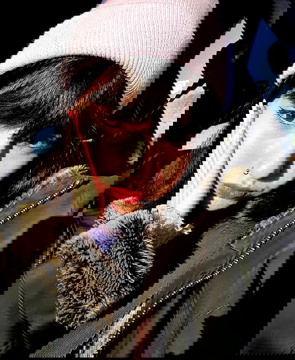 yam_adler image ~ Altpins