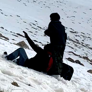 yam_adler image ~ Altpins