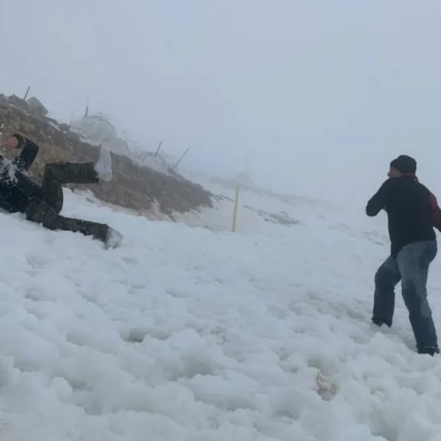 yam_adler instagram image archive image