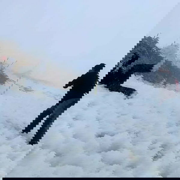 yam_adler image ~ Altpins