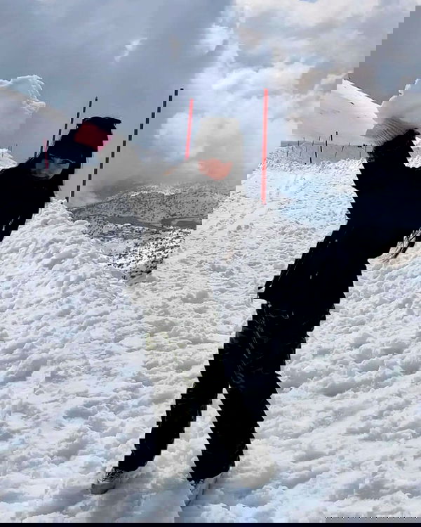 yam_adler image ~ Altpins