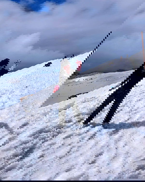 yam_adler image ~ Altpins