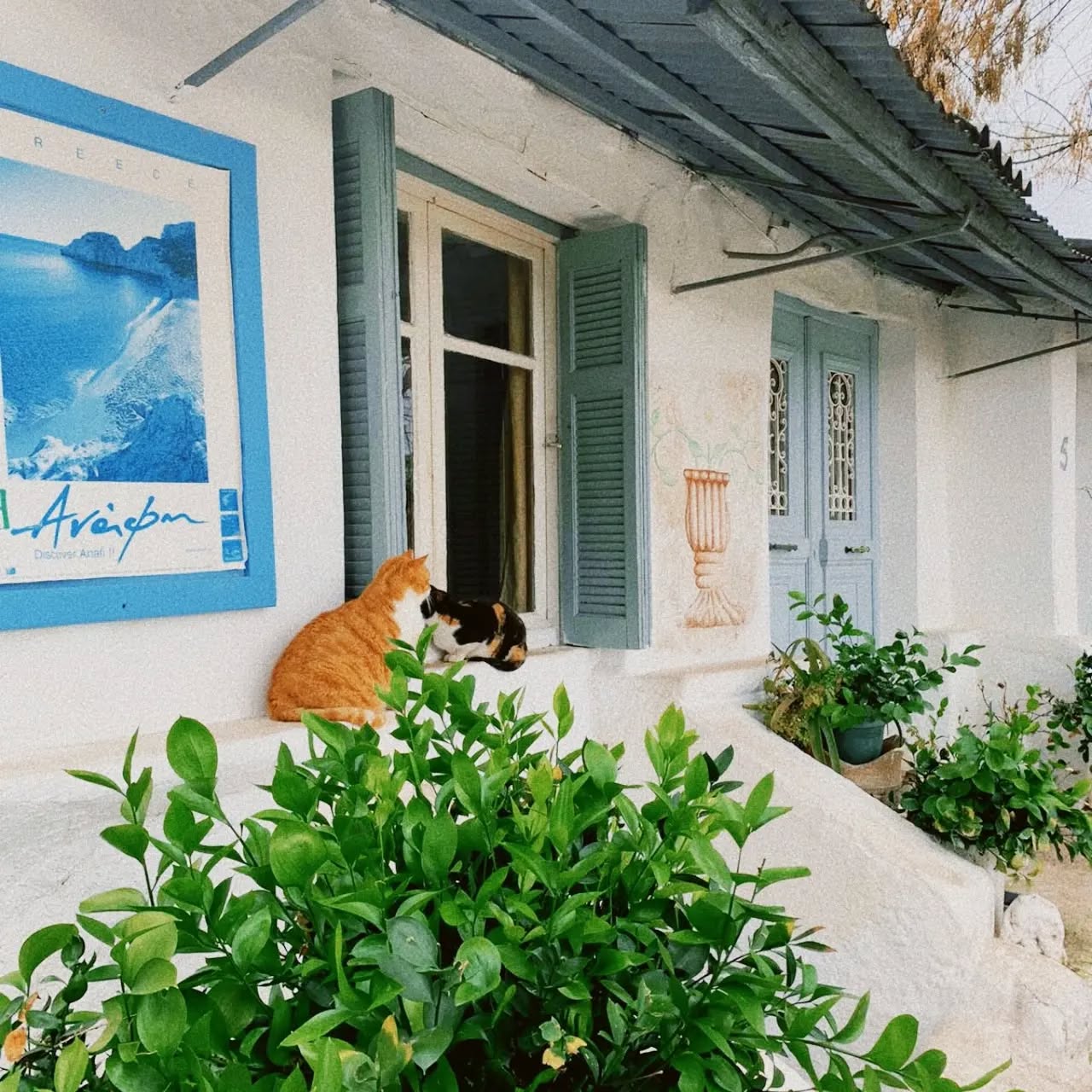 yam_adler instagram image archive image