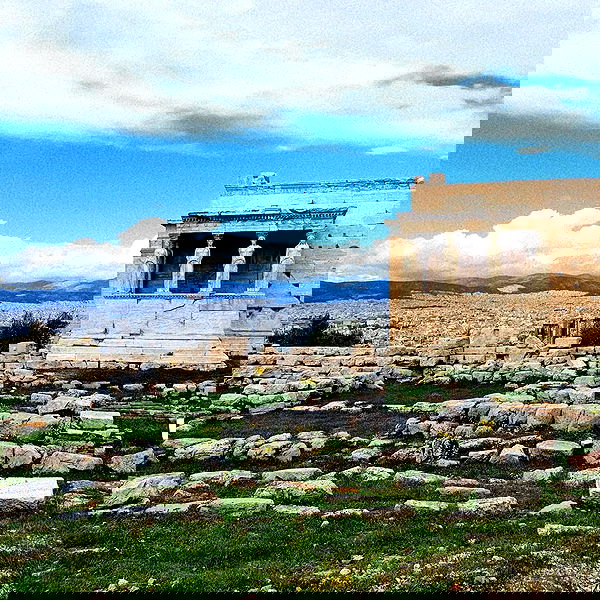 yam_adler image ~ Altpins