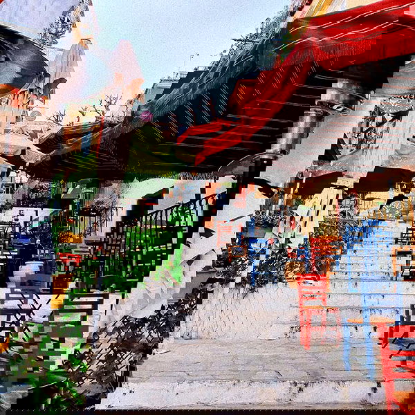 yam_adler image ~ Altpins