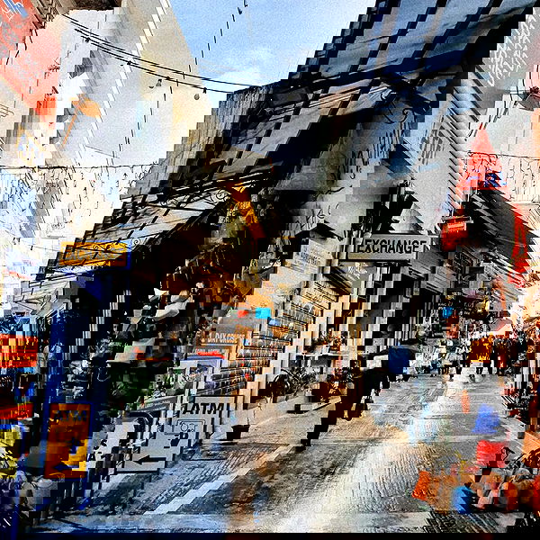 yam_adler image ~ Altpins