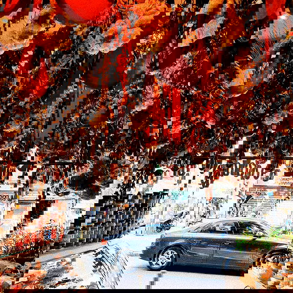 yam_adler image ~ Altpins