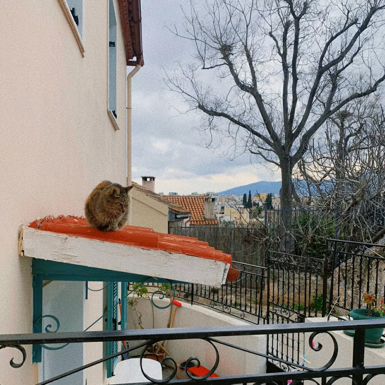 yam_adler instagram image archive image