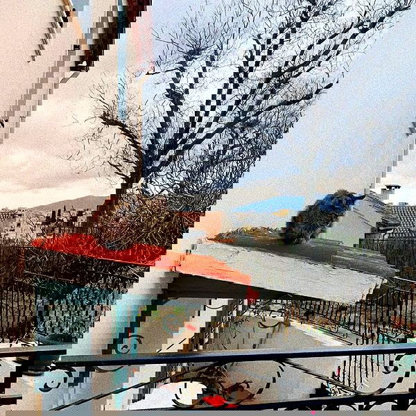 yam_adler image ~ Altpins