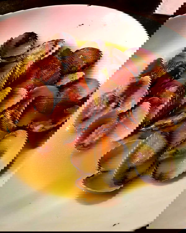 yam_adler image ~ Altpins