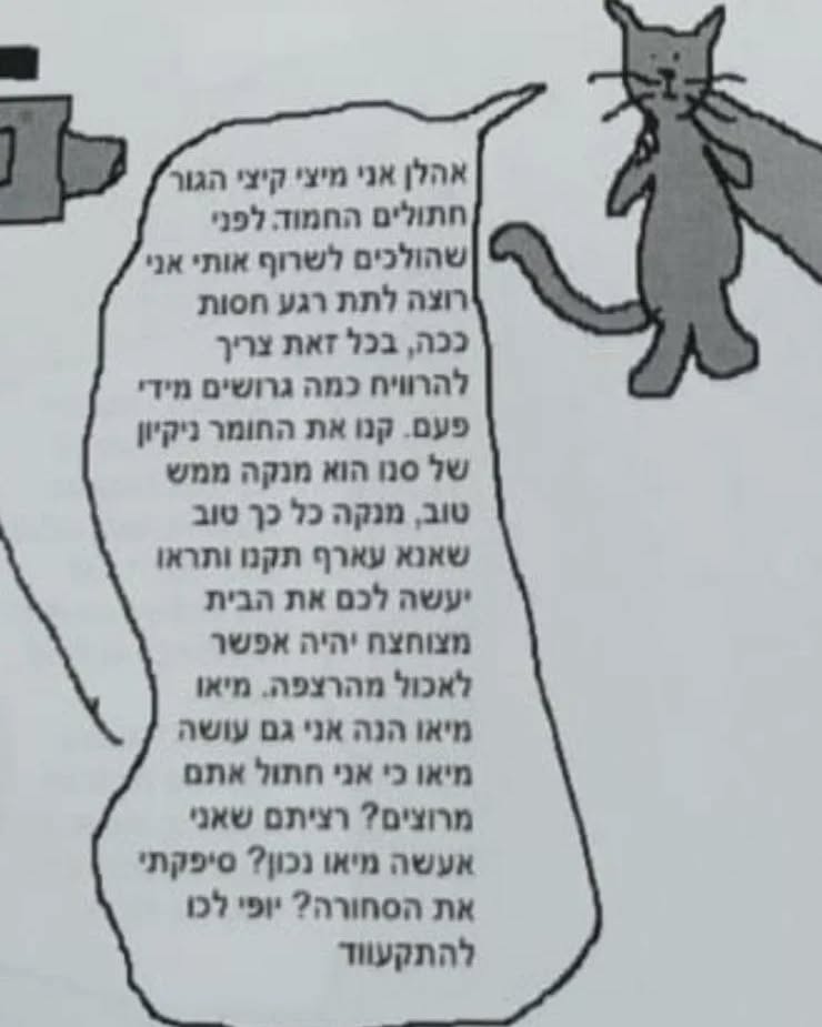 yam_adler instagram image archive image