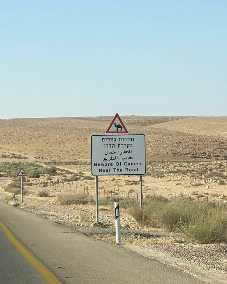 yam_adler instagram image archive image