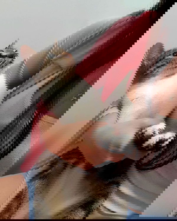 yam_adler image ~ Altpins