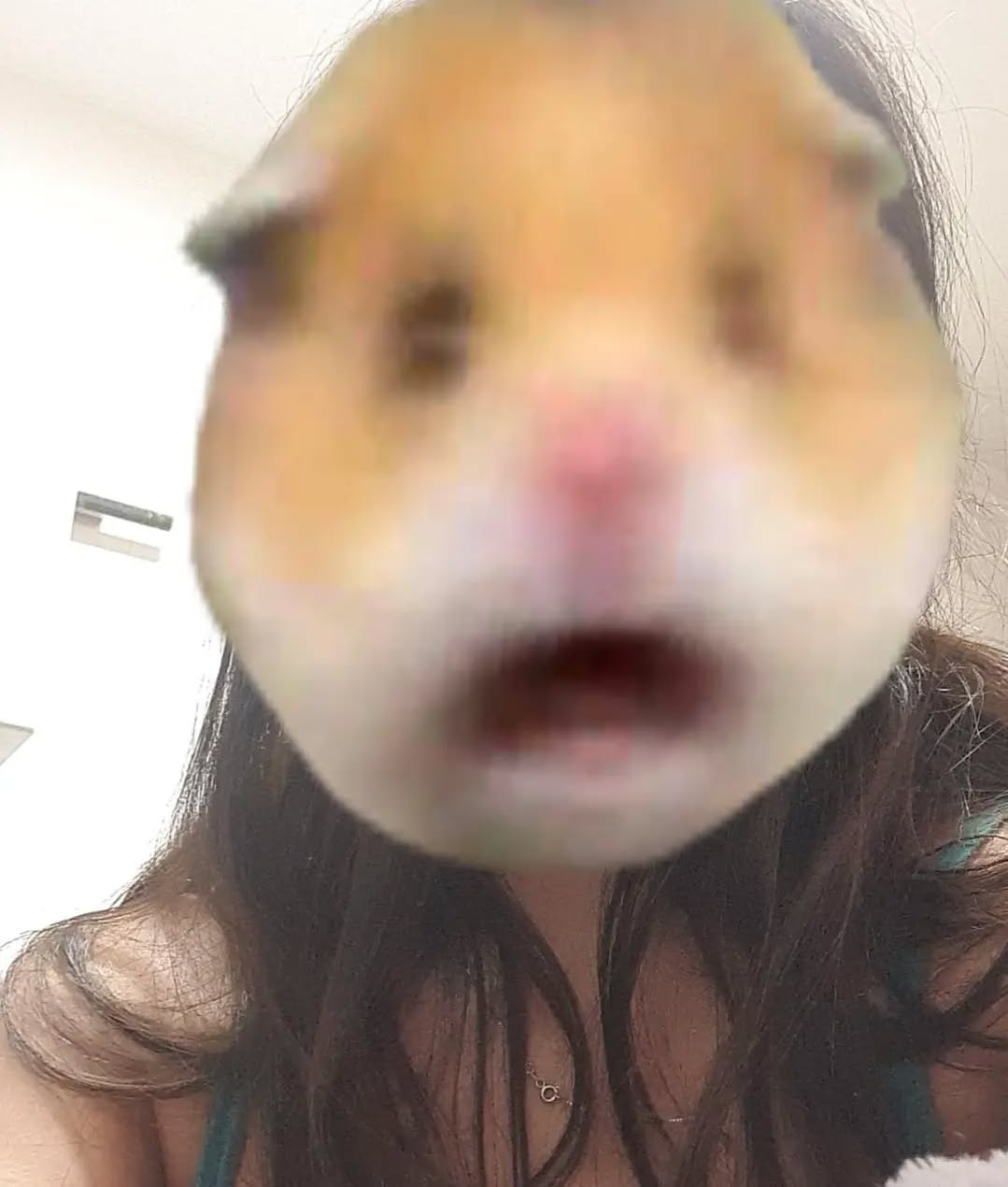 yam_adler instagram image archive image