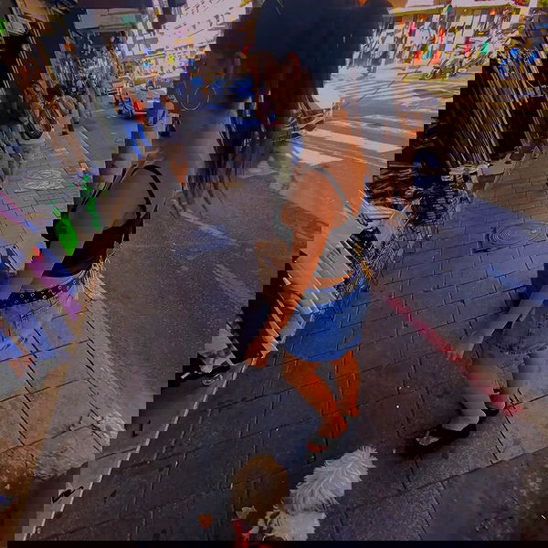 yam_adler image ~ Altpins