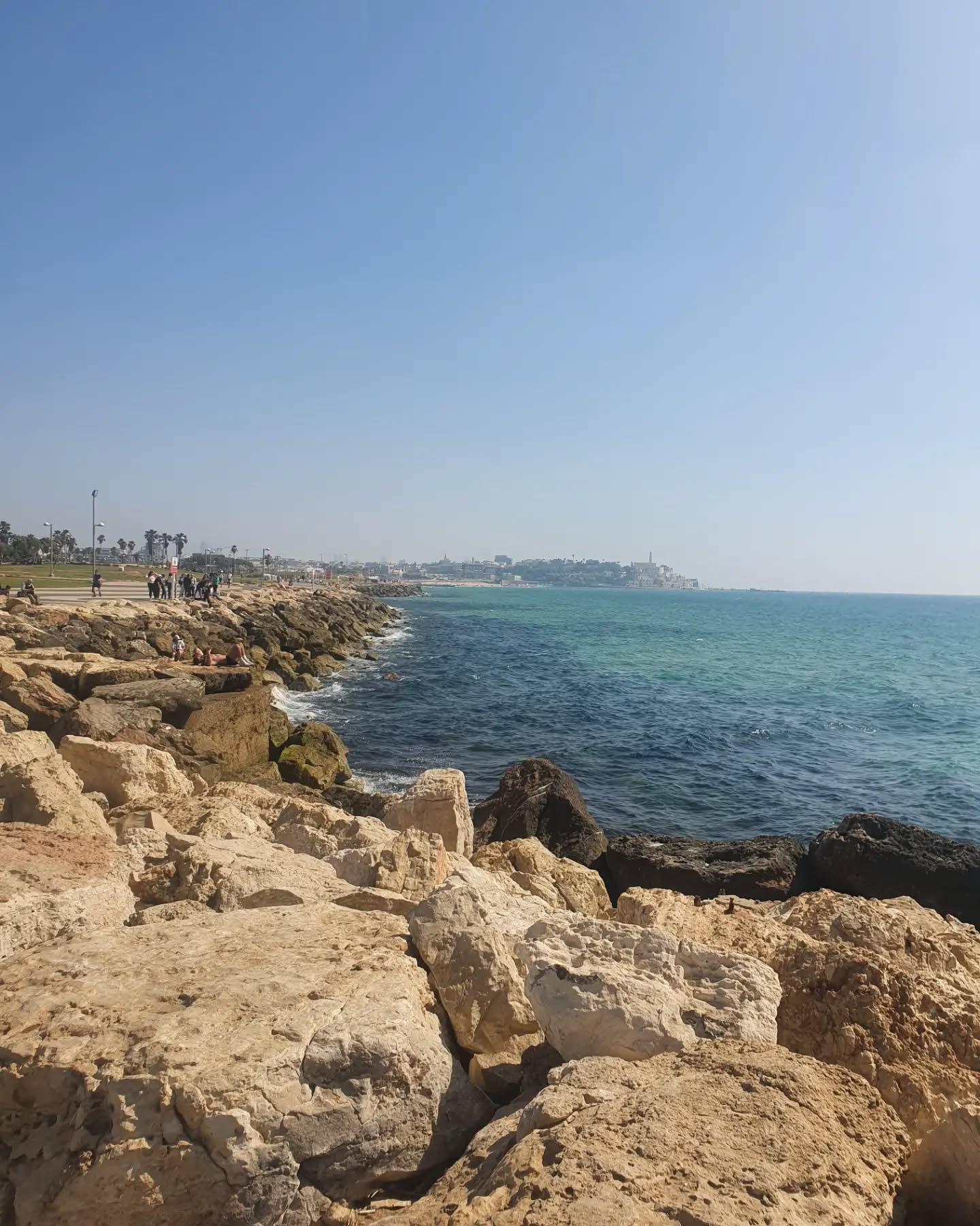 yam_adler instagram image archive image